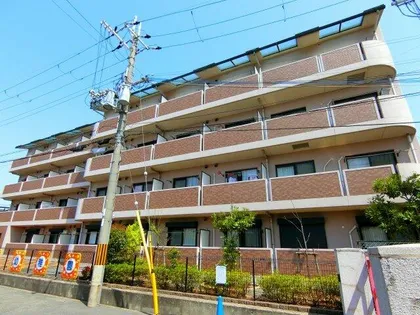 エレガンシア金剛【4階】の外観