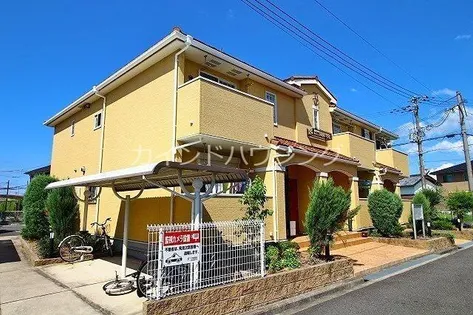 ザオバーレイの画像