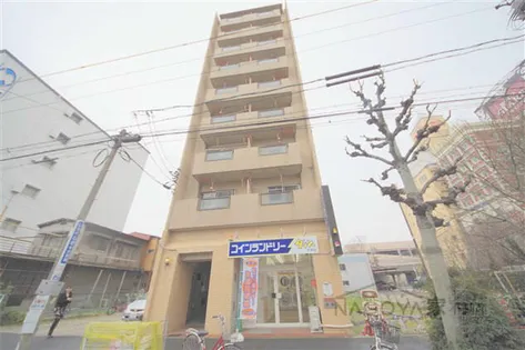 千早ハイリスの画像