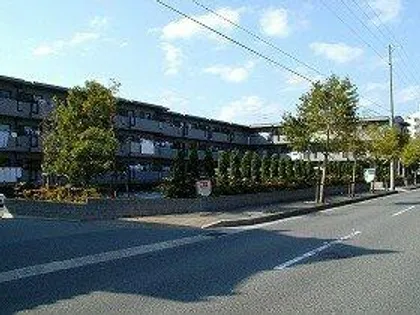 マウンティン ツーの画像