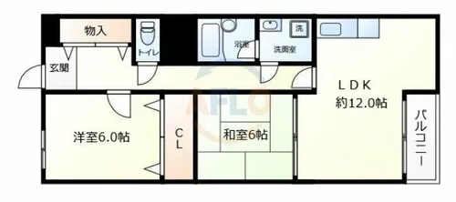 ビルヂィング77【6階】の間取り