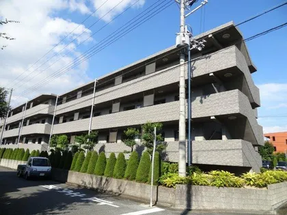 マウンティン ツーの画像