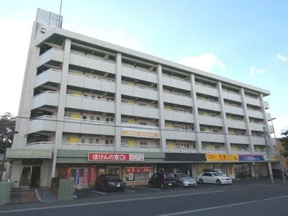 福岡県春日市春日原北町1丁目【マンション】の外観