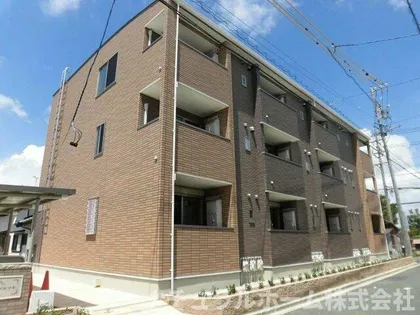 ビオーラ マルマキの画像