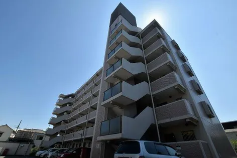 セントエルモ高石の画像