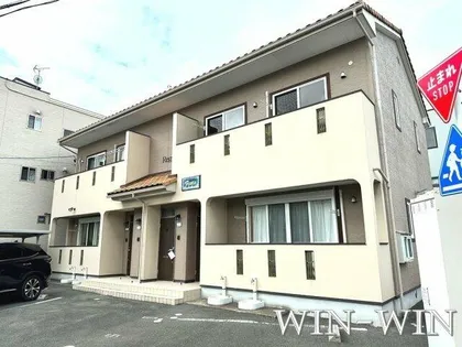 フェスタの画像