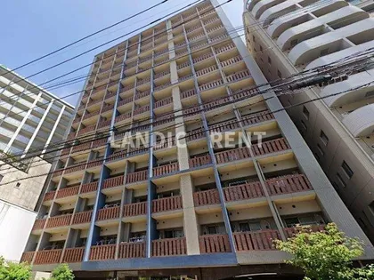 サヴォイテンジンスクワイヤーの画像