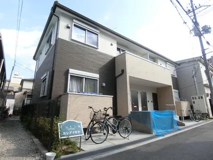 ルシアマルセの画像