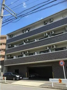 コーラル観月の画像