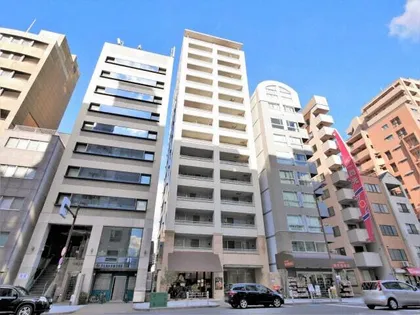 大阪府大阪市中央区安堂寺町1丁目【マンション】の外観