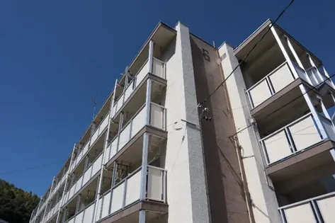 ビレッジハウス幸田6号棟【401号室】の外観