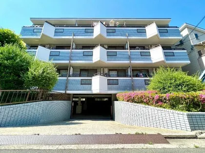 大阪府堺市堺区香ヶ丘町5丁【マンション】の外観