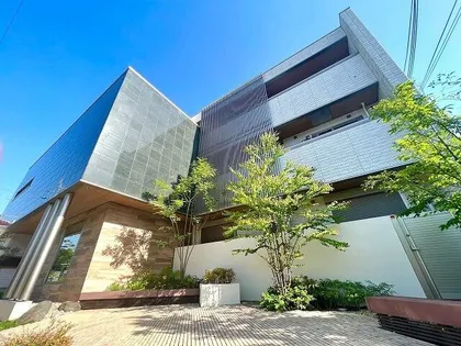 大阪府堺市堺区南三国ヶ丘町3丁【マンション】の外観