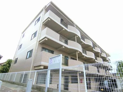 大阪府堺市中区深井清水町【マンション】の外観