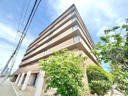 大阪府堺市堺区東湊町2丁【マンション】の外観