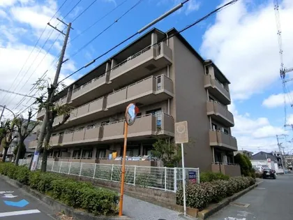 メルボルン真砂の画像