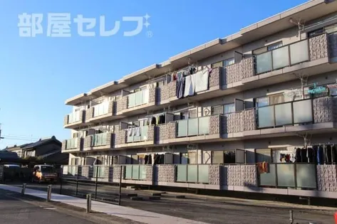 シンパティアの画像