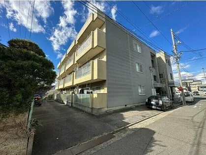 21ST CENTURYの画像