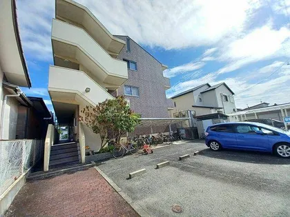 サンセベリア大津の画像