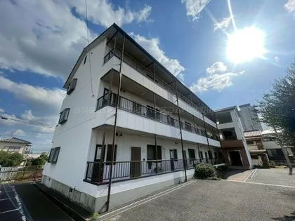 ハイツトビの画像