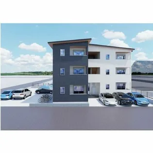 ブルームひまわりの画像