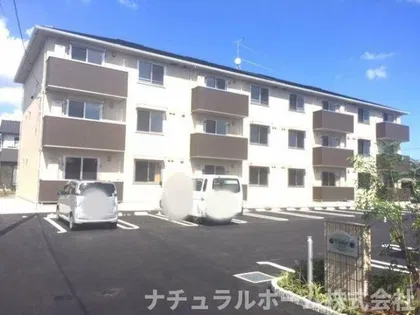 ヴァイオレットの画像