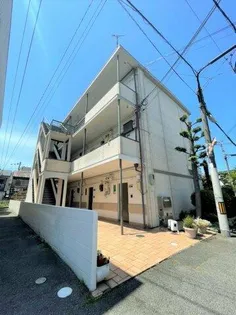 セラヴィの画像