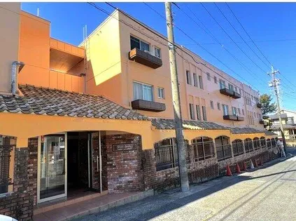 シャインスマイリーの画像