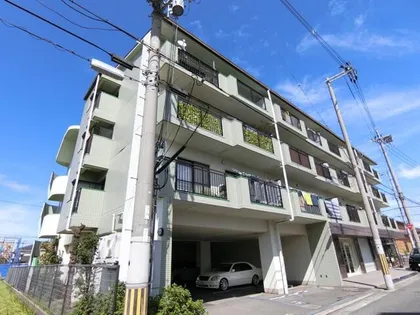 ベラディール1の画像