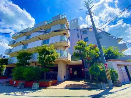 大阪府豊中市庄内栄町2丁目【マンション】の外観