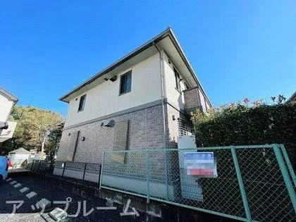 グリシーヌの画像