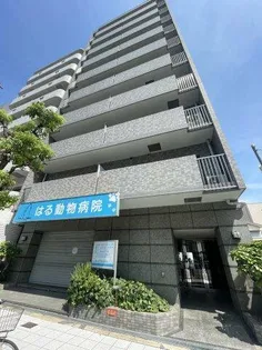 GRANDEの画像