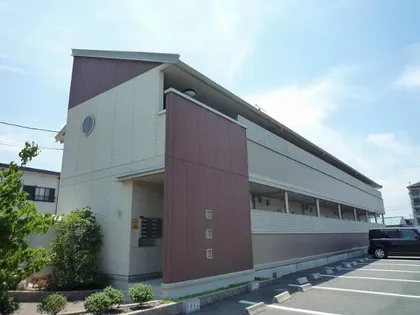 サーキディットの画像