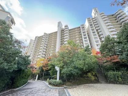 ルネ神戸北町ⅡサウスコートⅡ番館【11階】の外観