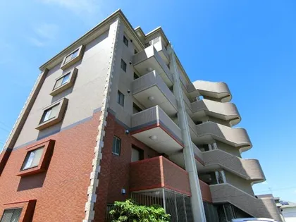 アクシスの画像