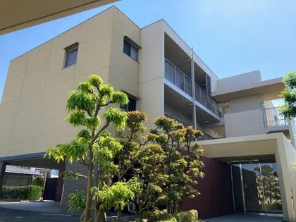 バレーロード辻子の画像