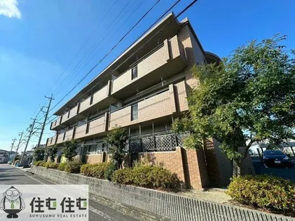 バンブー竹谷の画像