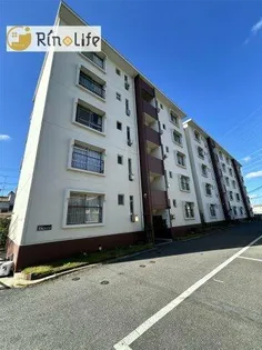 ニュー志紀ハイツB棟の画像