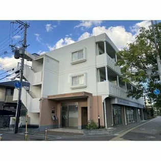 T'Z REALの画像