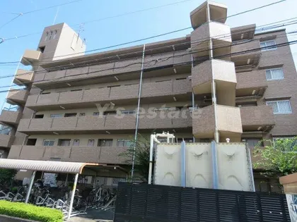 ノースフライトの画像