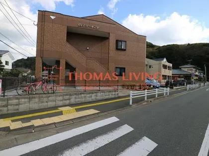 ミュールこがの画像