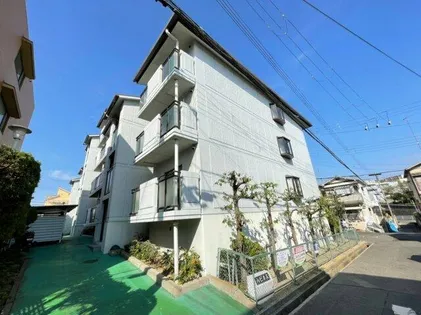 ハピネスの画像