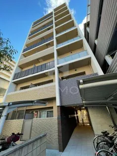 パインリッチの画像