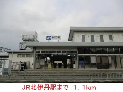 セントーレアの画像