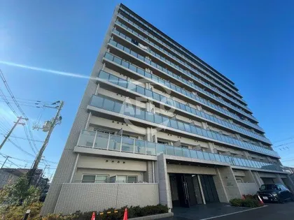 MV MS大阪新加美の画像