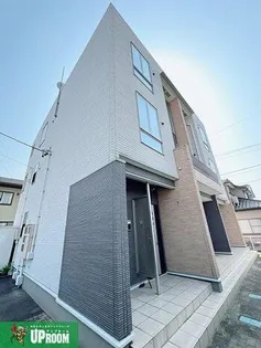 プリムローズの画像