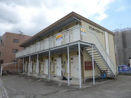 サンライズクイーンの画像