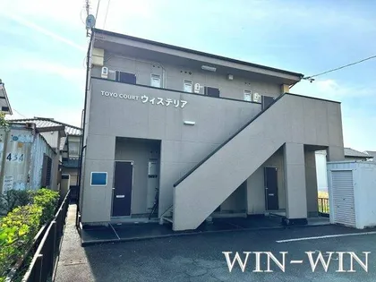 トーヨーコートウィステリアの画像