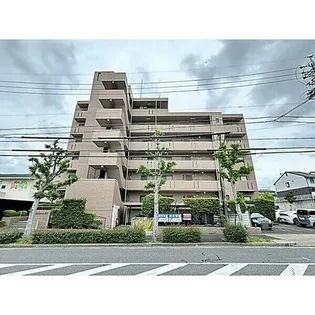 スカイコートウスイの画像