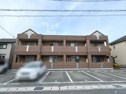 オーシャン ステラの画像